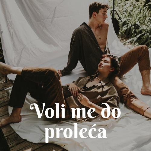 willow cover art