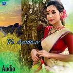 Ye Anibhav