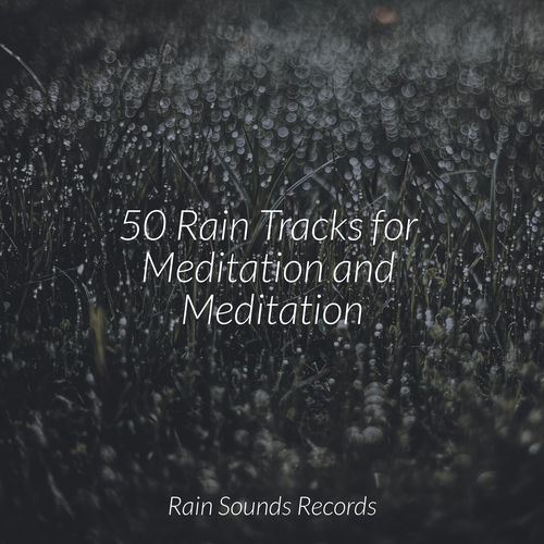 50 Rain Tracks for Meditation and Meditation