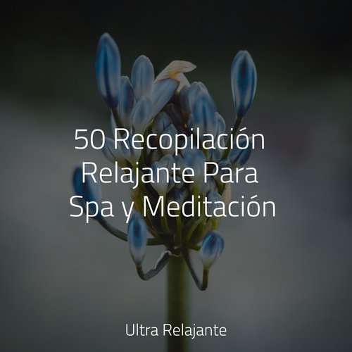 50 Recopilación Relajante Para Spa y Meditación