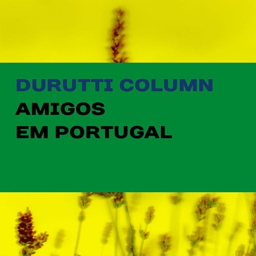 Amigos em Portugal