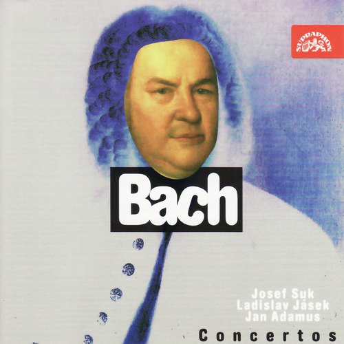 Concerto for Violin and Strings in A Minor, BWV 1041: II. Andante