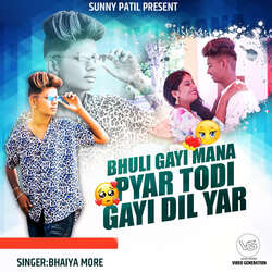 Bhuli Gayi Mana Pyar Todi Gayi Dil Yar (feat. Sunny Patil)-NVFbdiVWBng