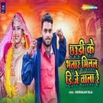 Chhaudi Ke Bhatar Milal Dj Wala Re