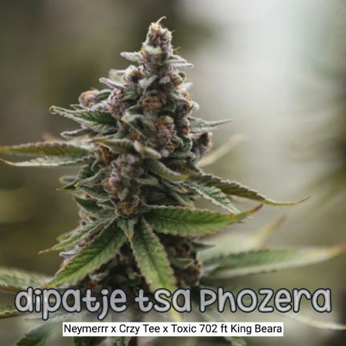 Dipatje Tsa Phozera cover art