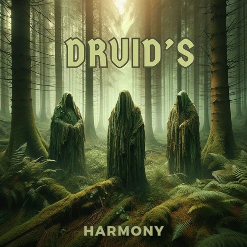 Druid&#039;s Harmony: Celtic Meditation Soundscapes_poster_image