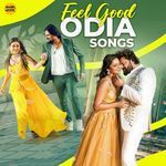 Tu Ki Sei Sapan Pari artwork