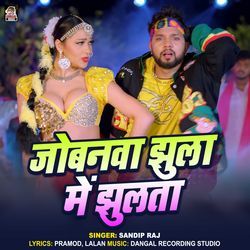 Jobnawa Jhula Me Jhulata-JVsheURCUXk