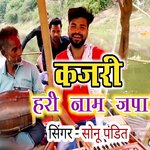 Kajari Hari Naam Japa