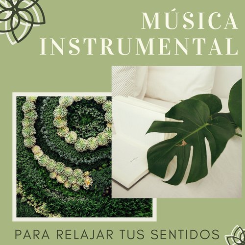 Relajacion Conjunto cover art