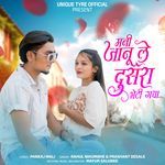 Mani Janu Le Dusara Bheti Gaya