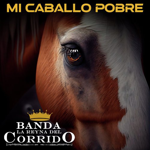 Mi Caballo Pobre