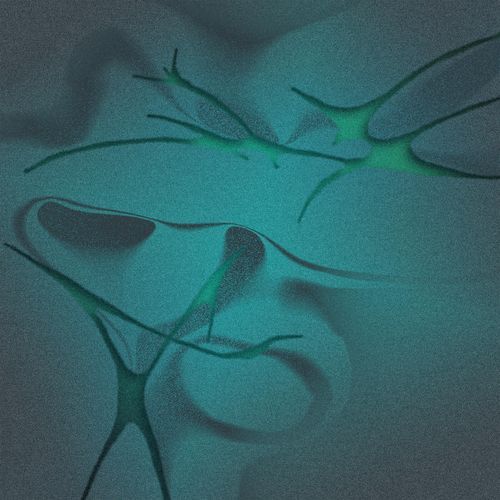 NTS cover art