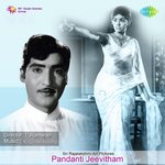 Pandanti Jeevitham