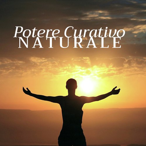 Musica Rilassante cover art