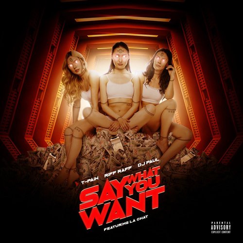 Say What You Want_poster_image