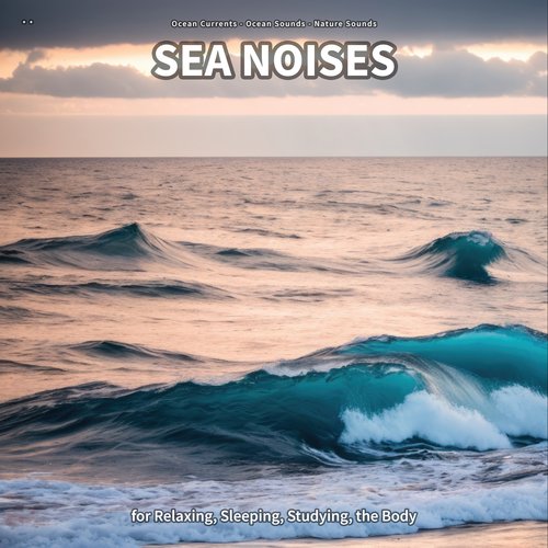 * * Sea Noises for Relaxing, Sleeping, Studying, the Body