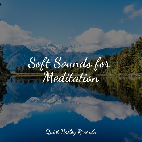Soft Sounds for Meditation