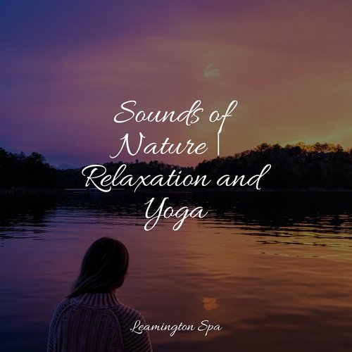 Relaxation Meditation cover art