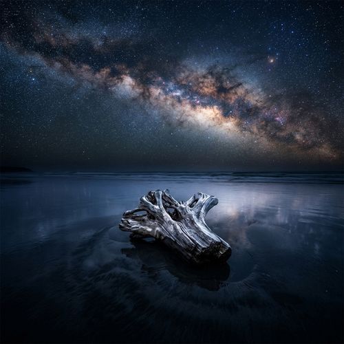 Starlit Driftwood cover art