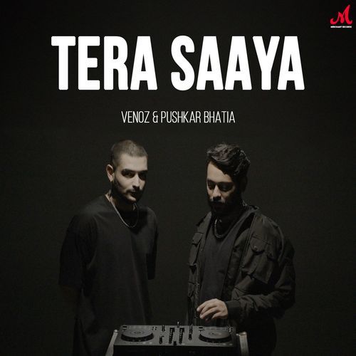 Tera Saaya_poster_image