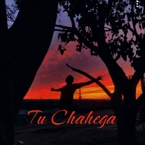 Tu Chahega