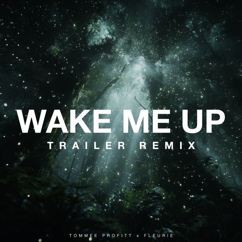 Wake Me Up (Trailer Remix)