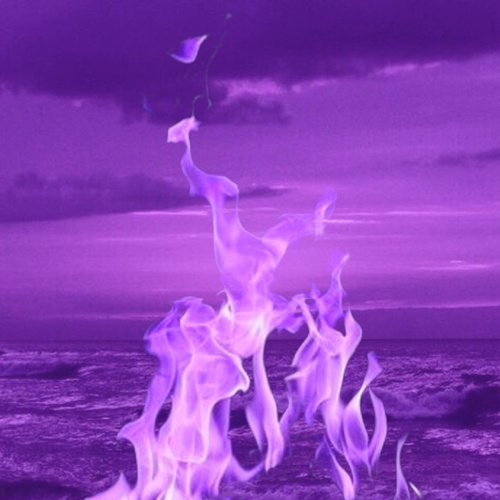 Fed Up cover art