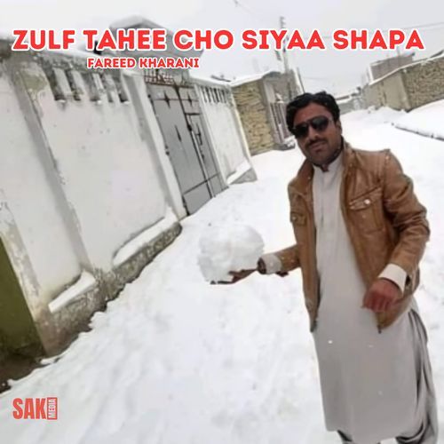 Zulf Tahee Cho Siyaa Shapa