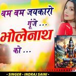 bam bam jaikaro Gunje Bholenath Ko