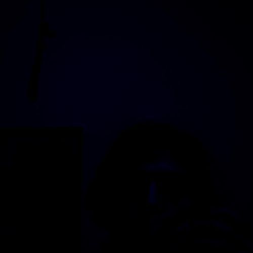 newton (interludio) cover art