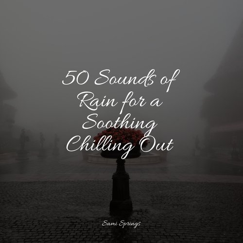 50 Sounds of Rain for a Soothing Chilling Out