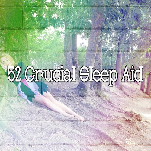 52 Crucial Sleep Aid