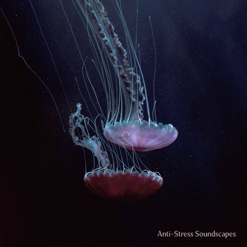 Nature Meditation cover art