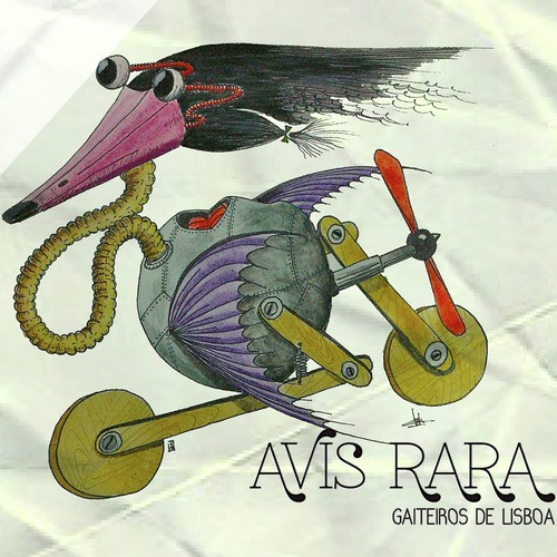 Avis Rara