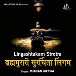 Brahma Murari Surarchita Lingam