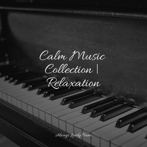 Calm Music Collection | Relaxation