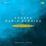 Dhokha Nahin Kamaida Electronic Mix
