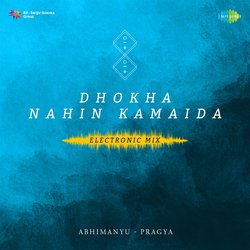 Dhokha Nahin Kamaida Electronic Mix