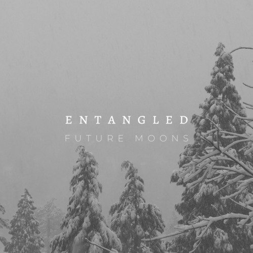 Entangled_poster_image