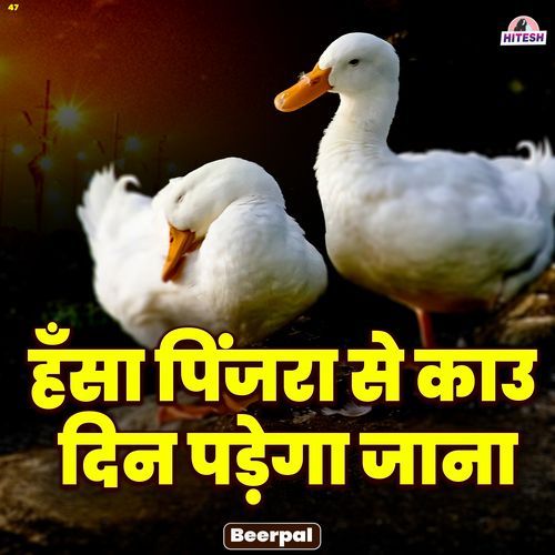 Hansa Pinjra Se Kaun Din Padega Jana