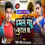 Hum Se Gehu Na Katat Baa