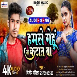 Hum Se Gehu Na Katat Baa