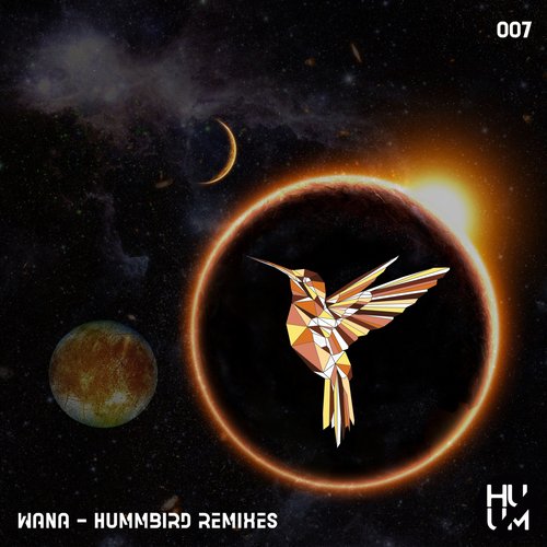 Hummbird (Yefim Malko Remix) cover art