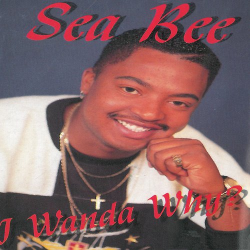 Home Boy - Song Download from I Wanda Why @ JioSaavn