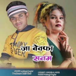 Ja Bewafa Sanam (Aadivasi Geet)-PAwvBwV3e38