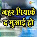 Jahar Piyake Da Muai Ho