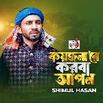 Koyjonare Korba Apon