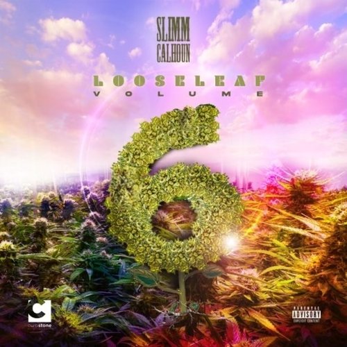 Loose Leaf, Vol. 6