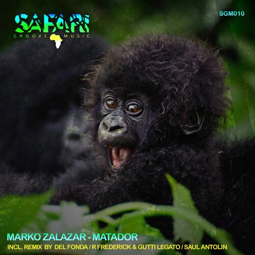 Matador (Saul Antolin Remix) cover art